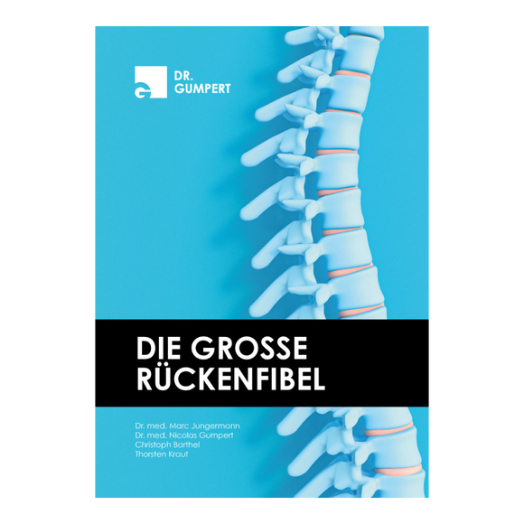 E-Book: Die große Rückenfibel von Dr. med. M. Jungermann, Dr. med. N. Gumpert, C. Barthel, T. Kraut